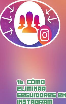 Seguidores instagram en vivo