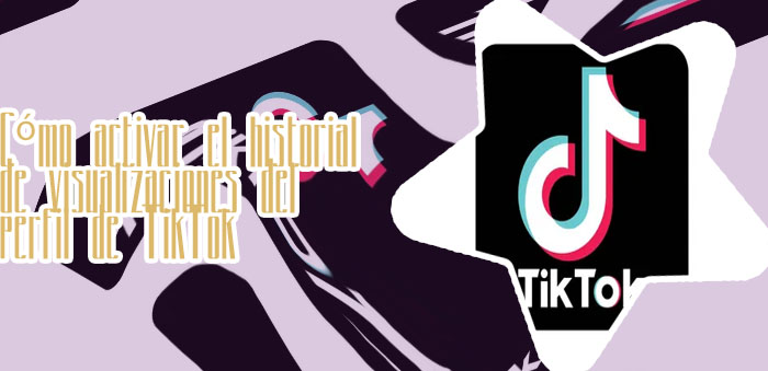 Tiktok visitas