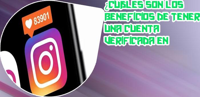 Ver aumento seguidores instagram