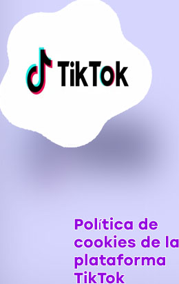 Visualización tiktok